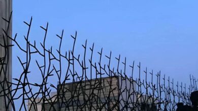 انتخاب حفاظ مناسب روی دیوار برای خانه، ویلا و باغ