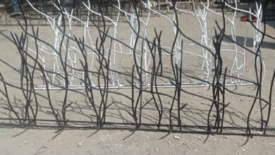 حفاظ شاخ گوزنی خار دار برای دیوار ساختمان و باغ