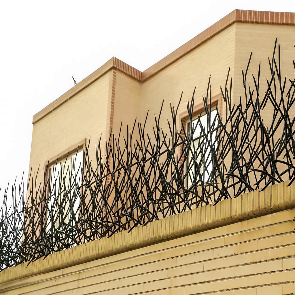نصب حفاظ بوته ای دیوار پرتراکم روی تاج دیوار