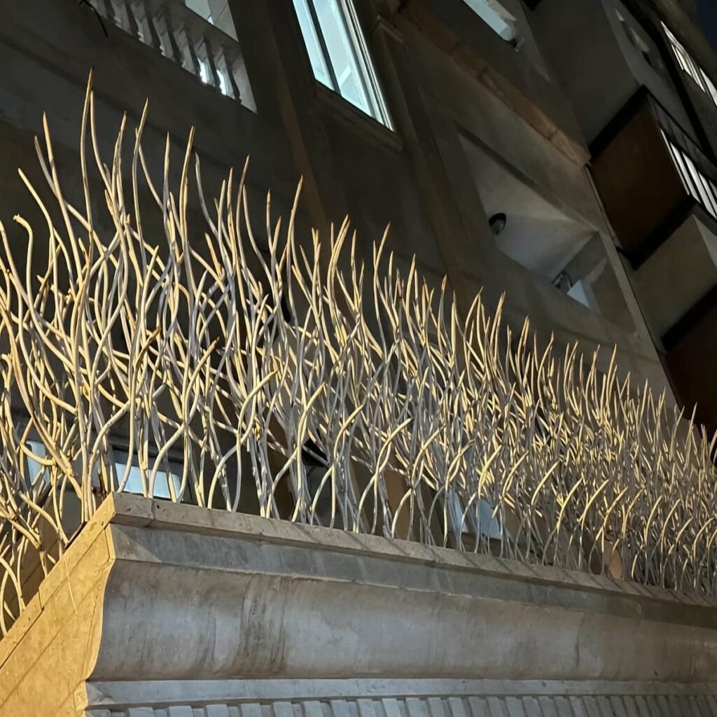 سفارش حفاظ شاخ گوزنی با مشاوره تخصصی