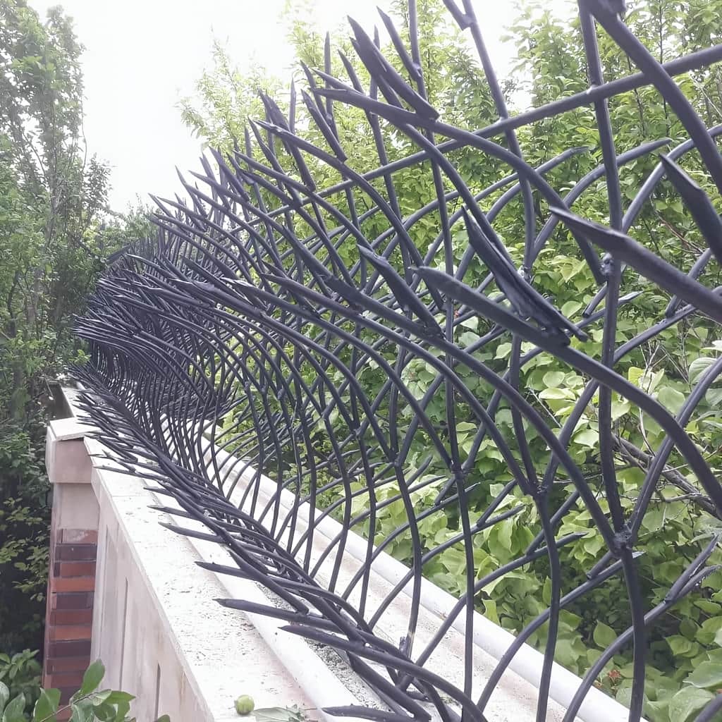 حفاظ غنچه ای با رنگ هماهنگ نما
