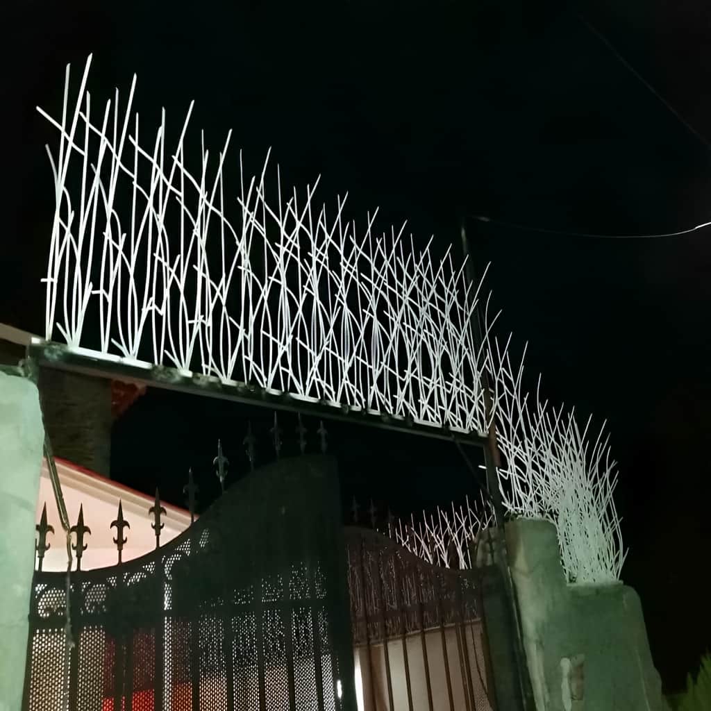 حفاظ نیزار هماهنگ با نمای ساختمان