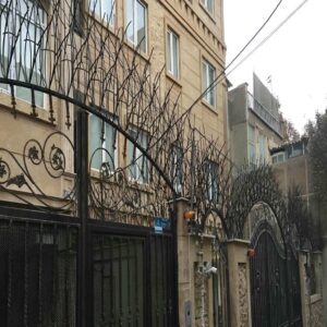 حفاظ شاخ گوزنی طرح اف فلزی با طراحی شاخه ای