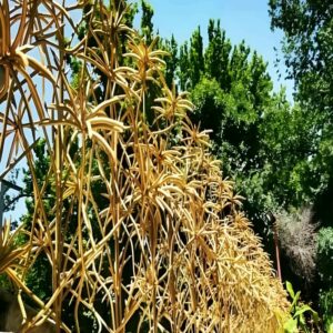 حفاظ نخل مرداب فلزی با طراحی شاخه ای