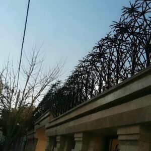 حفاظ نخل مرداب فلزی با طراحی شاخه ای